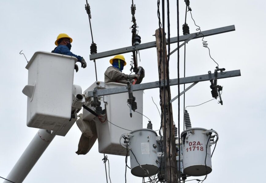 CNDH exhorta a la CFE a no suspender servicio eléctrico