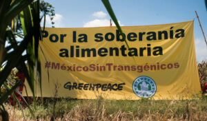 En la imagen, protesta realizada por Greenpeace.