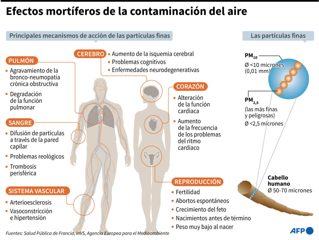 Efectos mortíferos de la contaminación. Infografía: AFP 