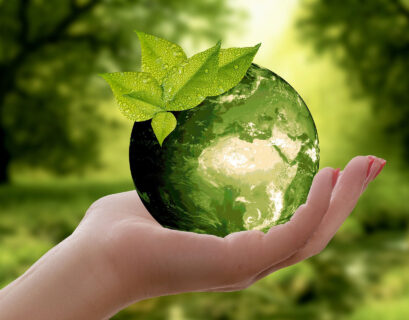 sostenibilidad obligación
