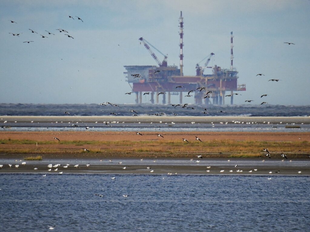 Oil & Gas