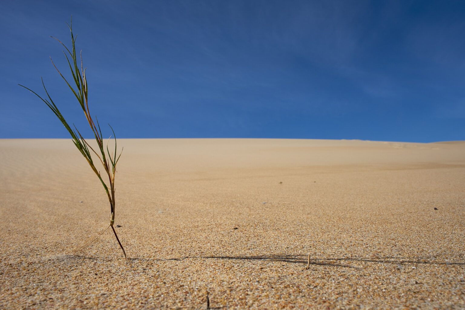 Cambio Climático energía