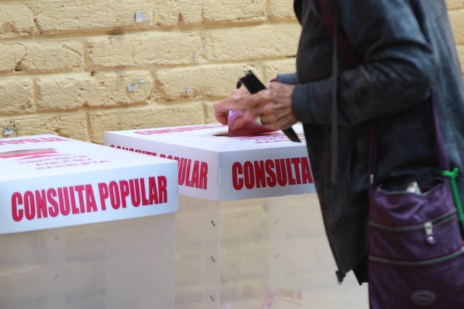 INE reporta participación ciudadana en consulta popular del 7.74%