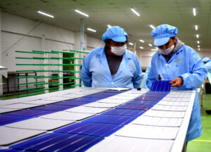 paneles solares- solarever