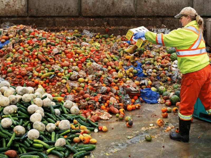 ¿Sabes cuánta comida se desperdicia en el mundo? - Energía Hoy