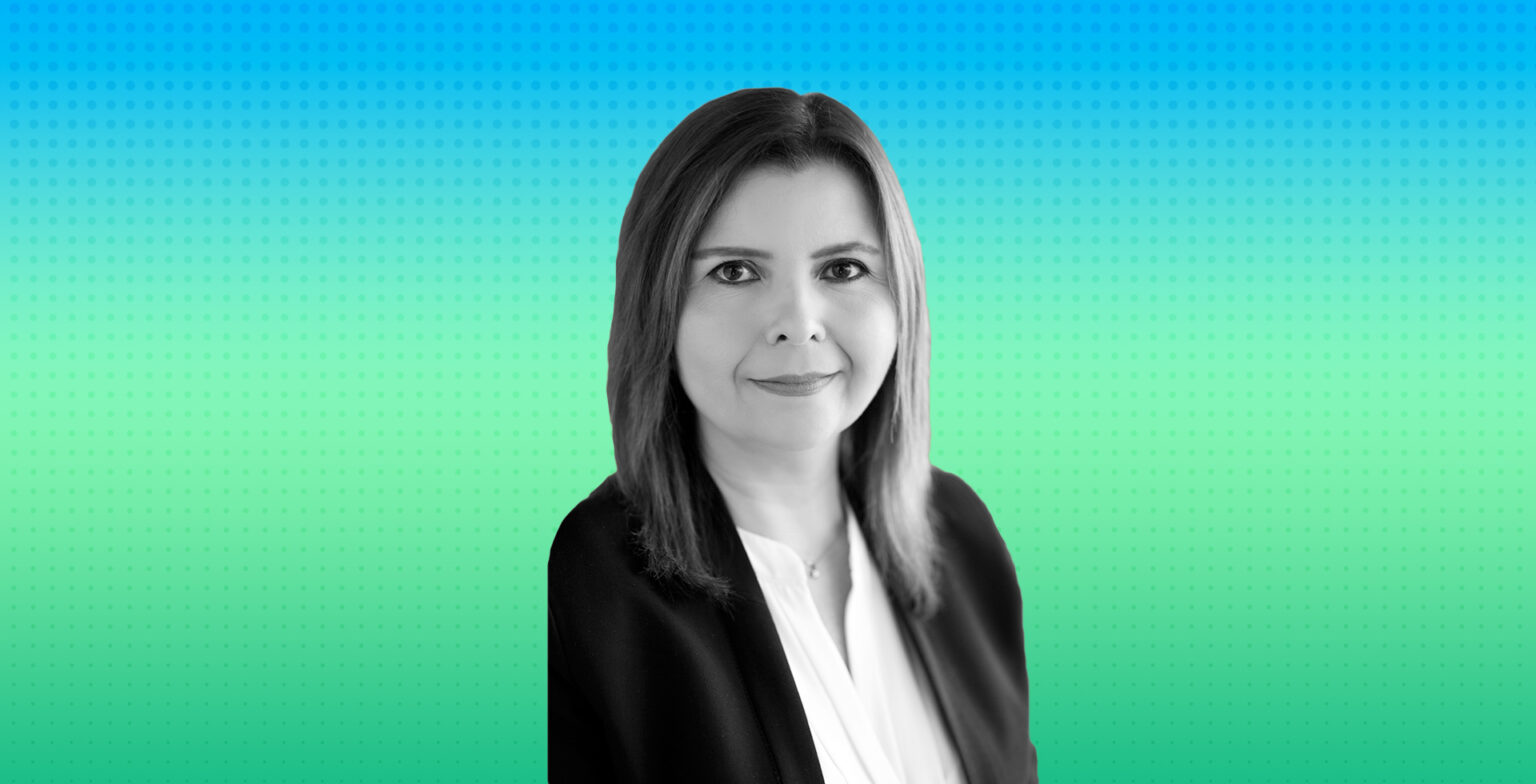 Infraestructura sustentable y el sistema Envision Project manager