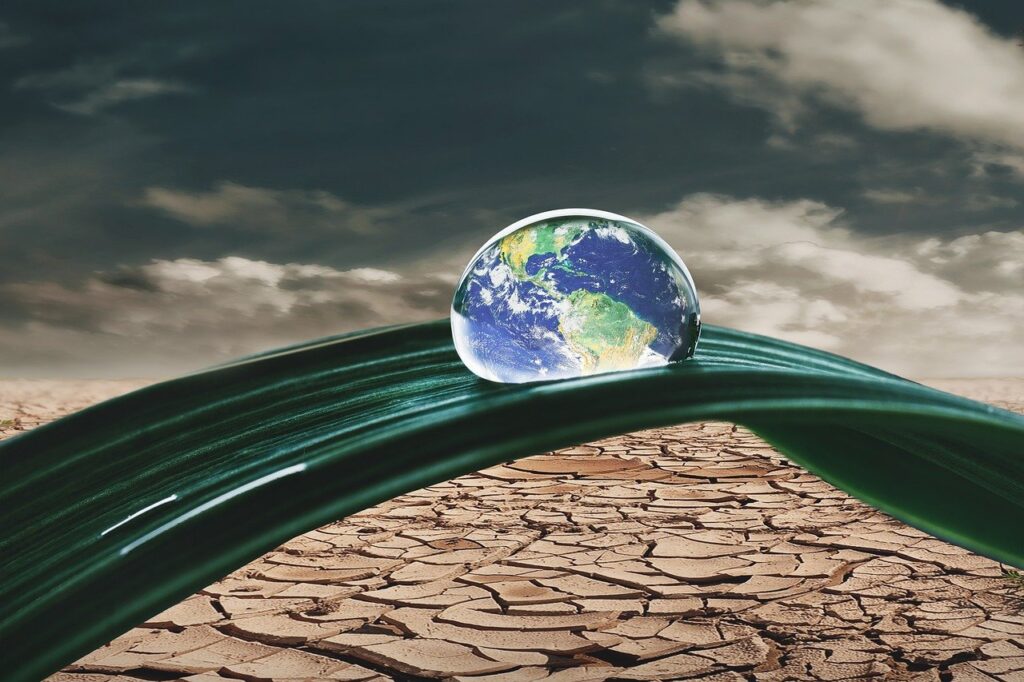 cop28