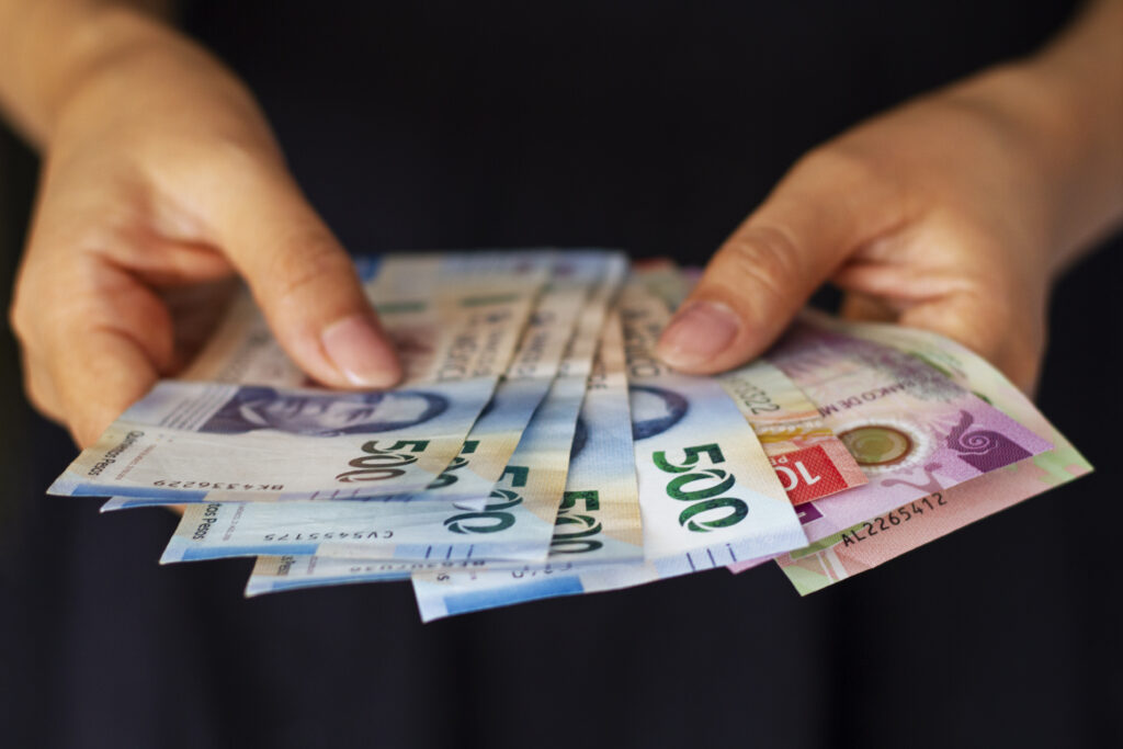 Crecimiento economico