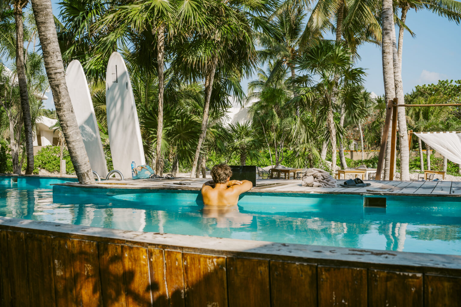 Mayan monkey North America