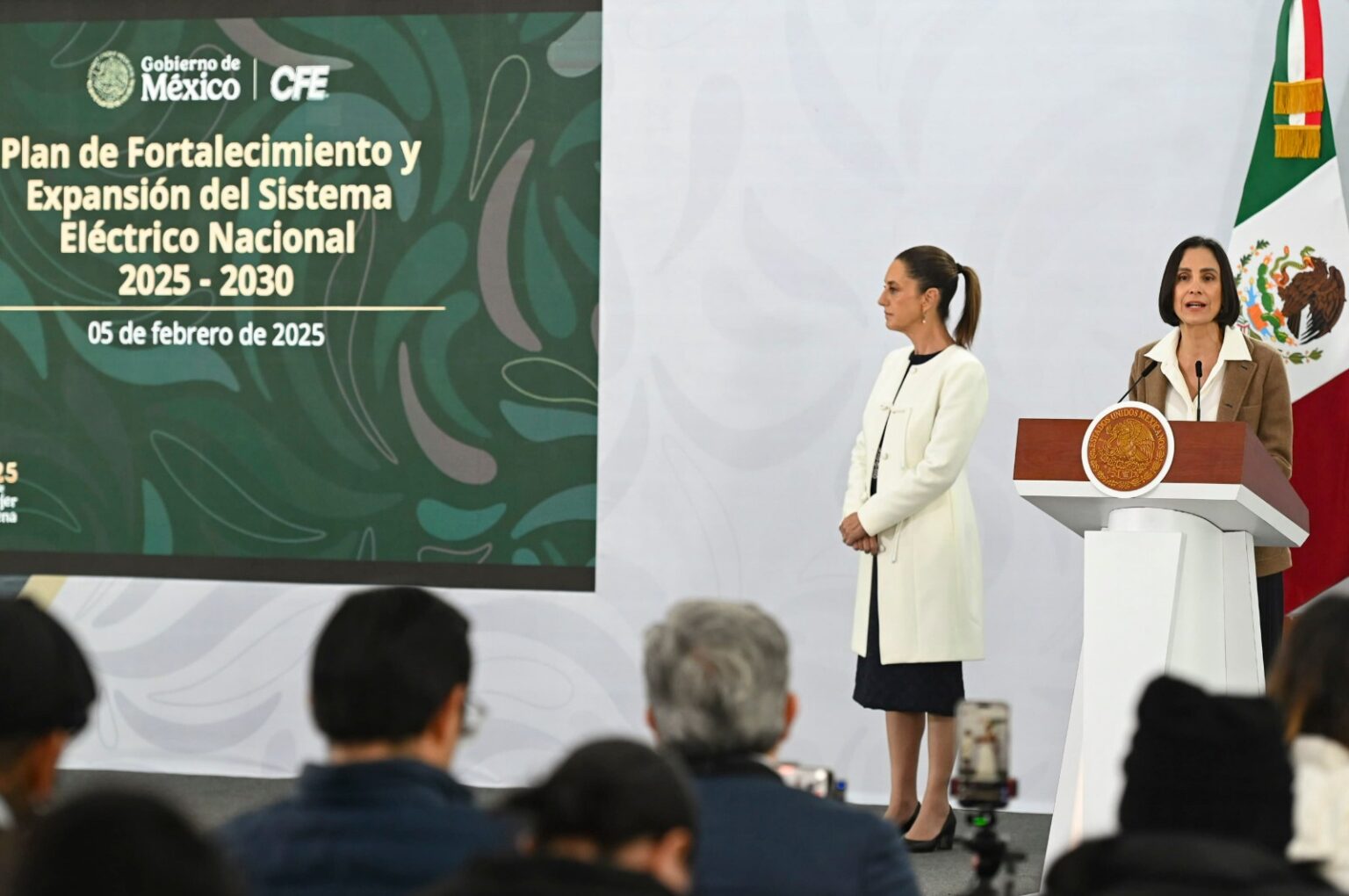 sistema eléctrico nacional