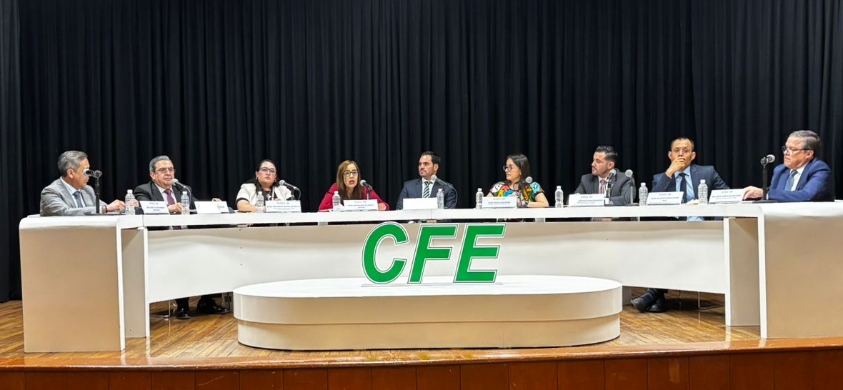 infraestructura eléctrica