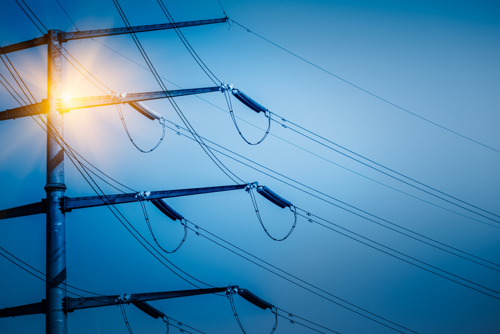 demanda de energía eléctrica