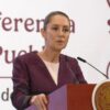 Campaña falsa
