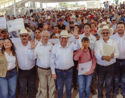 Programa de fertilizantes