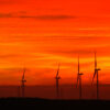 El parque eólico Panabá en Yucatán tendrá 22 turbinas y generará 99 MW para abastecer a 150 mil hogares; iniciará su construcción este año.