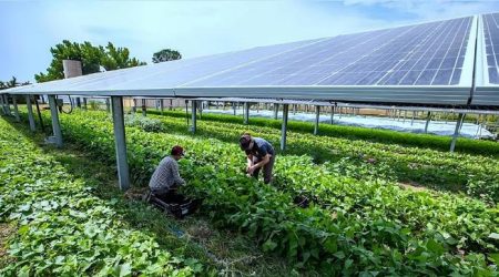 agrovoltaica