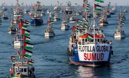 sumud