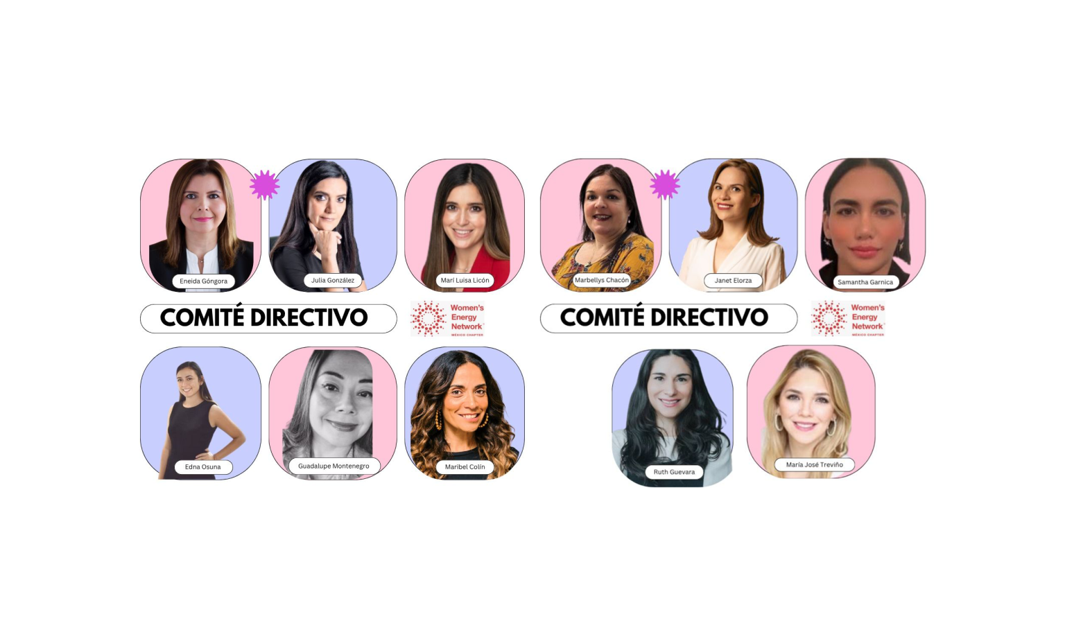 Women’s Energy Network México fortalece su red con nuevo liderazgo para 2025–2027 wen