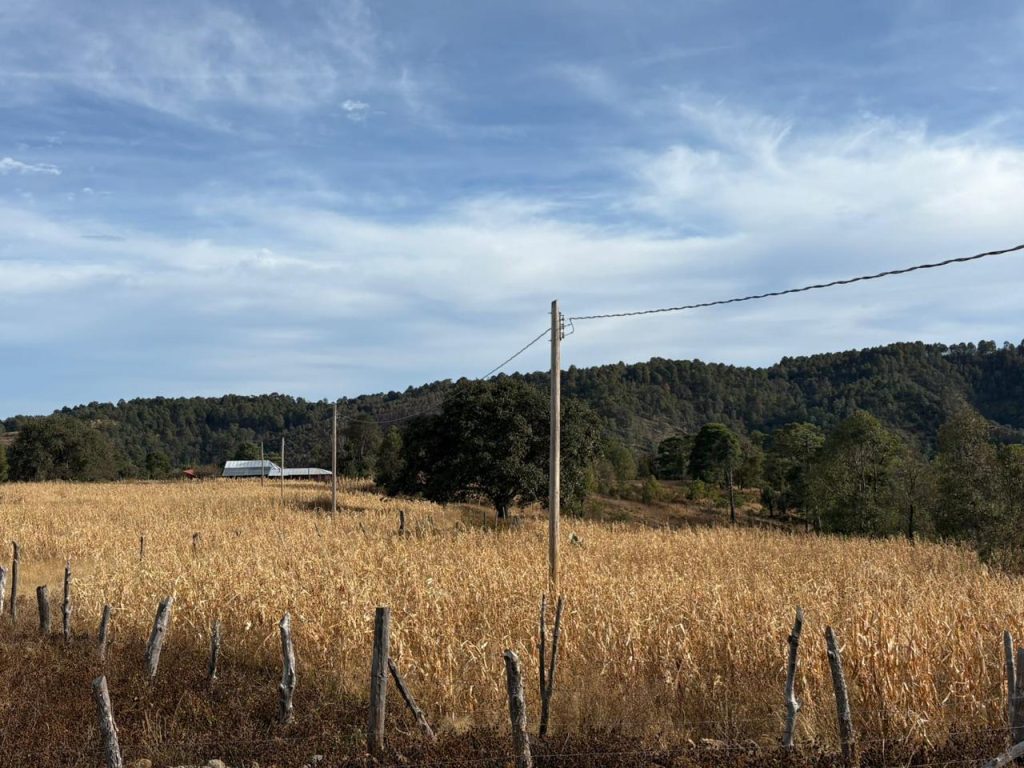 CFE impulsa proyectos de electrificación en comunidades de la Sierra Madre Occidental