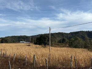 CFE impulsa proyectos de electrificación en comunidades de la Sierra Madre Occidental