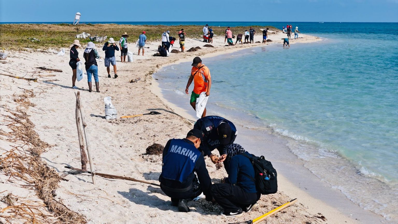 GI intensifica labores contra recales de hidrocarburos en costas del Golfo HIDROCARburos