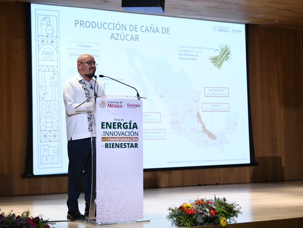 Bioenergía en México: potencial energético con retos estructurales por resolver