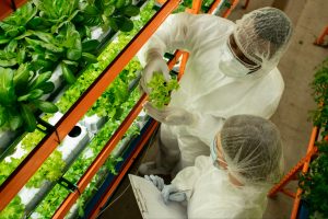 Cadenas de suministro sostenibles para transformar la agricultura: WESS 2026 cadenas