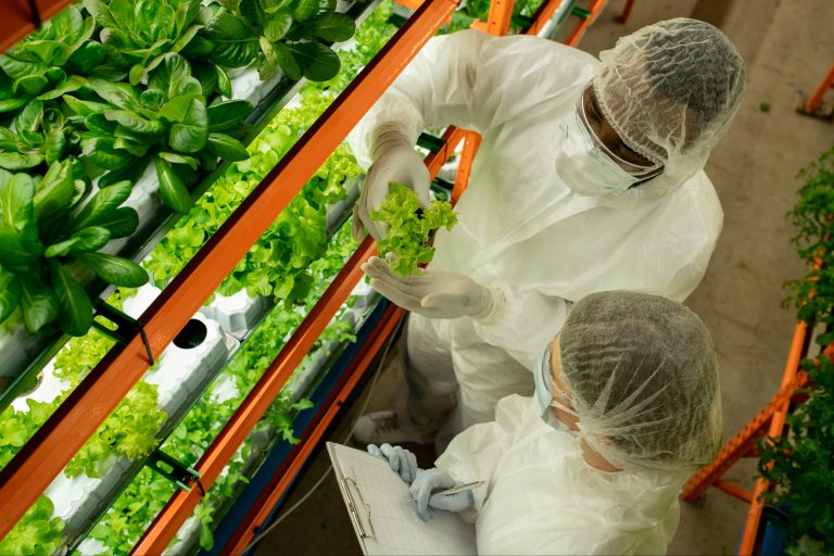 Cadenas de suministro sostenibles para transformar la agricultura: WESS 2026 cadenas