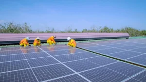 Energía solar: Japón mejora paneles para aprovechar más la luz solar