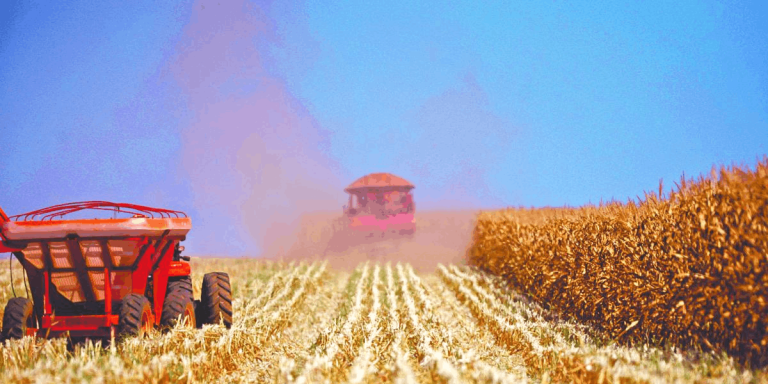 Agricultura y energía marcan futuro del T-MEC regional