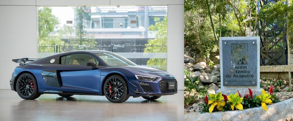 Audi impulsa la reforestación de Acapulco audi