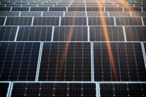 Cox, aliado clave de México en infraestructuras de agua y energía cox