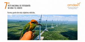 “Mi vida y el viento” celebra talento eólico nacional