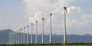Convocatorias energéticas impulsan inversión eólica y empleo en México